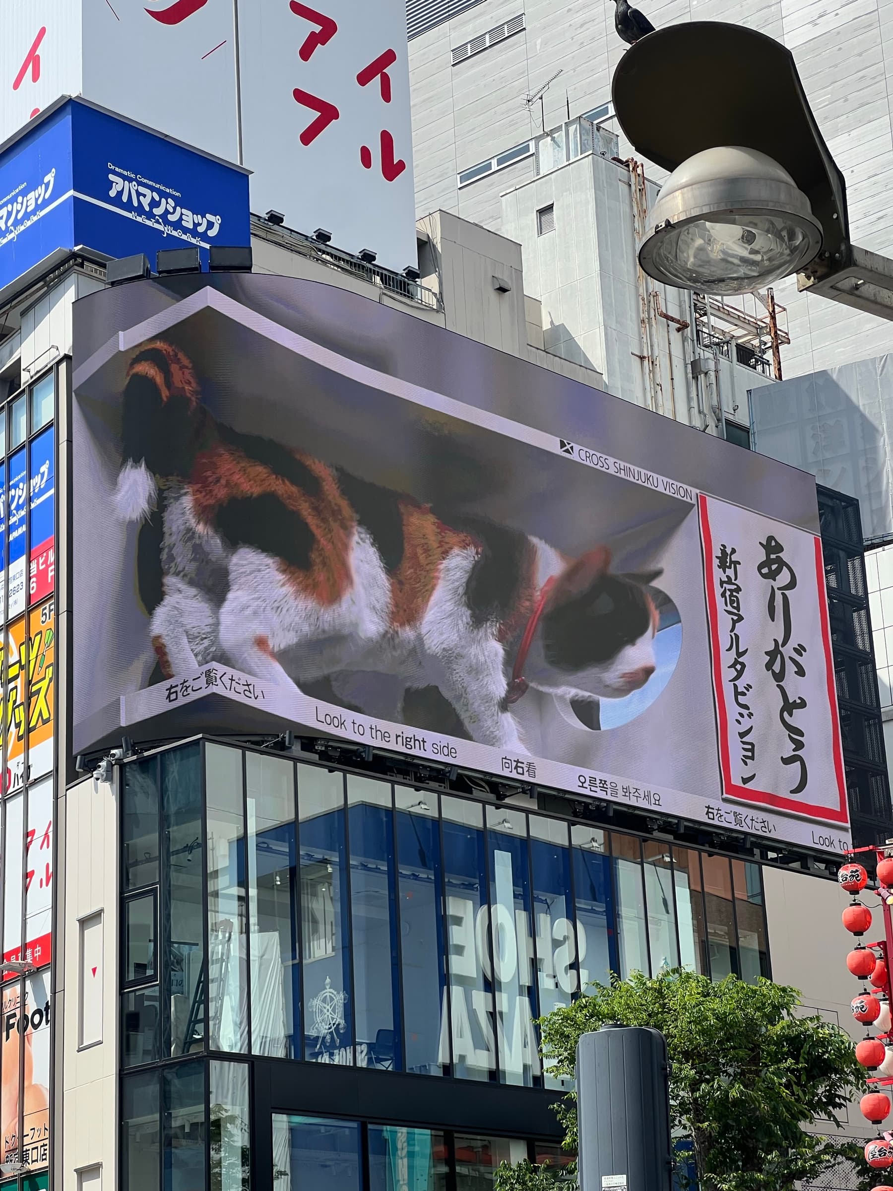 The giant 3D calico cat billboard above Shinjuku station